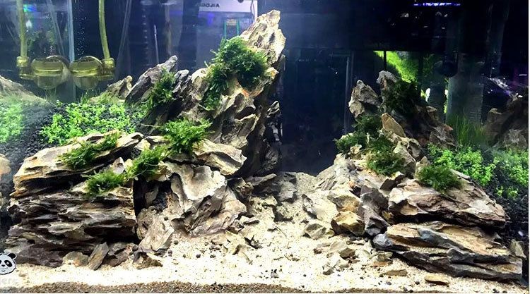 彩色魚缸造景石廠家電話多少：北京彩色魚缸造景石廠家