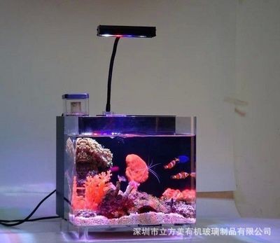 訂做魚缸亞克力的價格和保養秘籍：diy亞克力魚缸的保養秘籍亞克力魚缸保養秘籍 訂做魚缸亞克力的價格和保養秘籍：diy亞克力魚缸的保養秘籍亞克力魚缸保養秘籍 魚缸百科 第1張