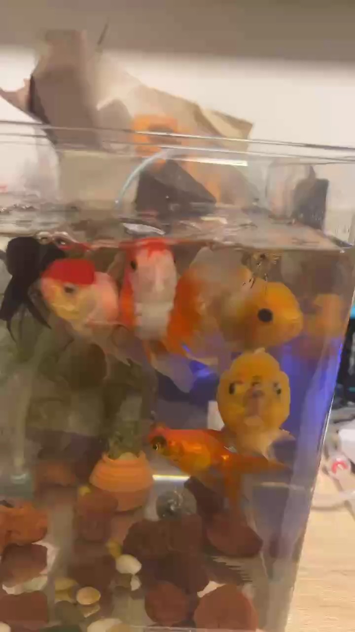 不懂就問，它們這是餓了嗎？