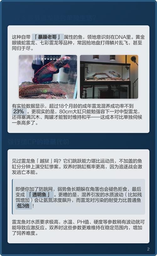 雷龍魚可以和銀龍魚混養嗎圖片欣賞
