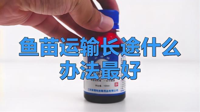 金龍魚幼苗的運輸風險大嗎？