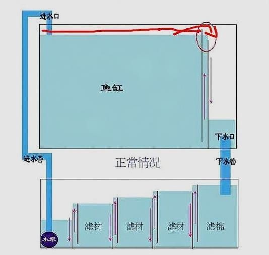 底濾魚缸進(jìn)水口攔魚梳的設(shè)計(jì)：底濾魚缸改造的藝術(shù)與技巧