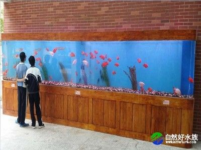 海水魚缸設備廠家：以下是幾家提供海水魚缸設備的廠家：提供海水魚缸設備的廠家
