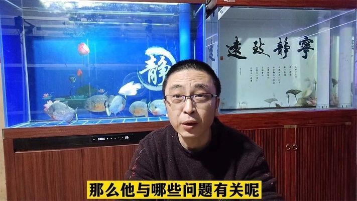 什么樣的魚(yú)缸容易爆：如何避免魚(yú)缸爆炸