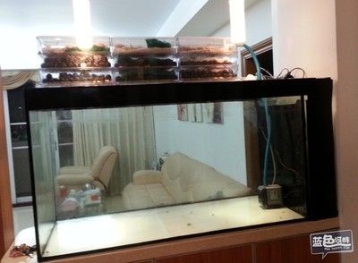 魚缸過濾器材直接放在魚缸中,需要注意什么?:魚缸過濾器材可以直接放在魚缸中的過濾系統的維護技巧 魚缸百科 第1張 魚缸過濾器材直接放在魚缸中,需要注意什么?:魚缸過濾器材可以直接放在魚缸中的過濾系統的維護技巧 魚缸過濾器材直接放在魚缸中,需要注意什么?:魚缸過濾器材可以直接放在魚缸中的過濾系統的維護技巧 魚缸百科 第1張