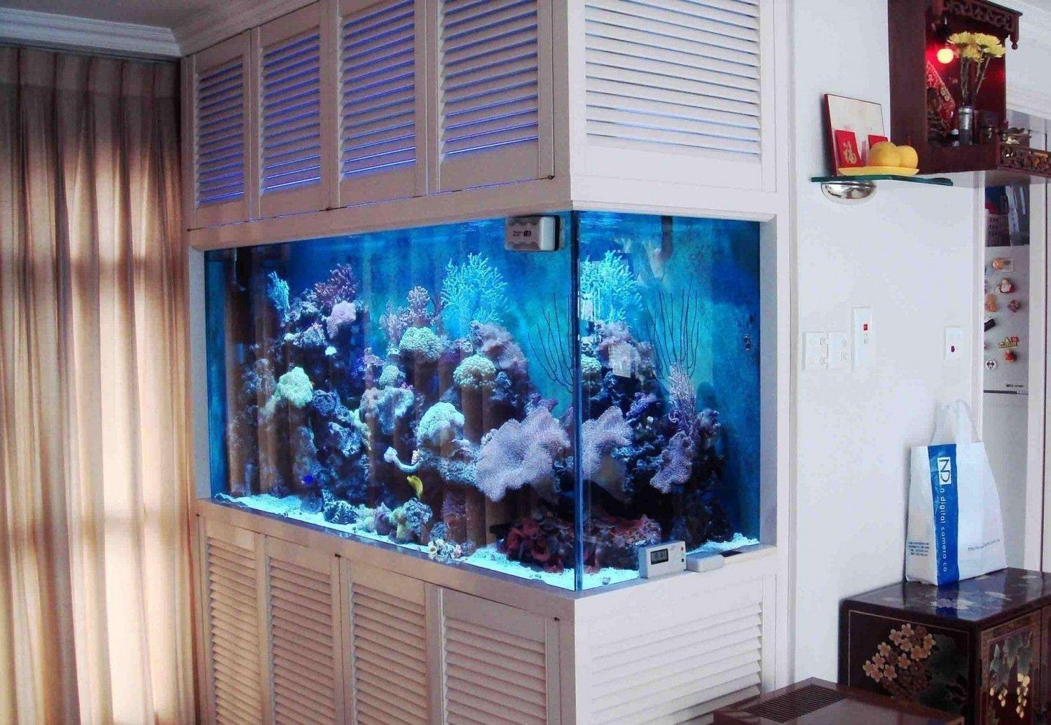 海景魚缸的成本可以從多方面進行考量：如何選擇合適的海景魚缸