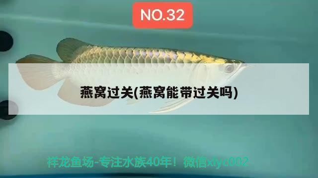 煙臺掌上電子商務有限公司（煙臺掌上電子商務有限公司怎么樣）