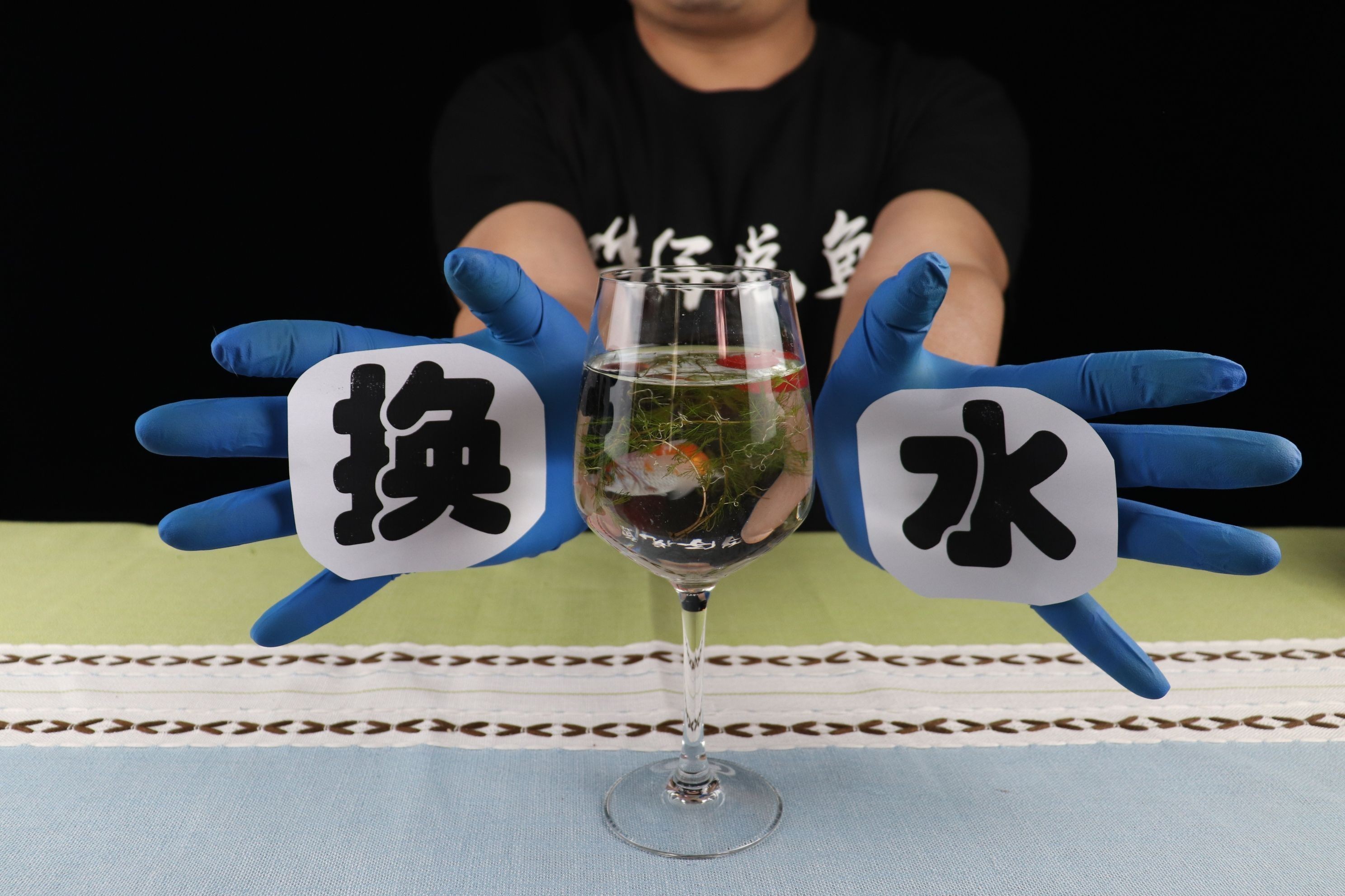魚缸不換水魚能活多久，不同季節魚缸換水頻率提高魚缸水質的自然方法