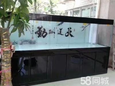 定制魚缸需要注意哪些問題？：定制魚缸是一個需要考慮多個方面的過程以下關鍵注意事項