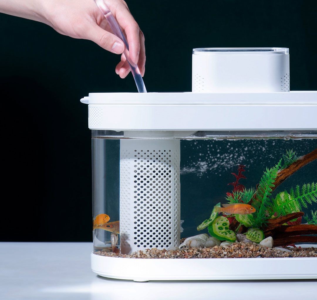 小米魚缸兩棲版好用嗎：小米魚缸兩棲版怎么樣