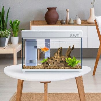 小米魚缸兩棲版好用嗎：小米魚缸兩棲版怎么樣