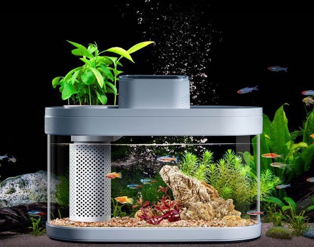 小米魚缸兩棲版好用嗎：小米魚缸兩棲版怎么樣