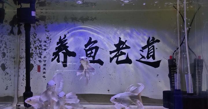 菏澤市牡丹區怡茹魚缸銷售店（菏澤市牡丹區怡茹魚缸銷售店地址）
