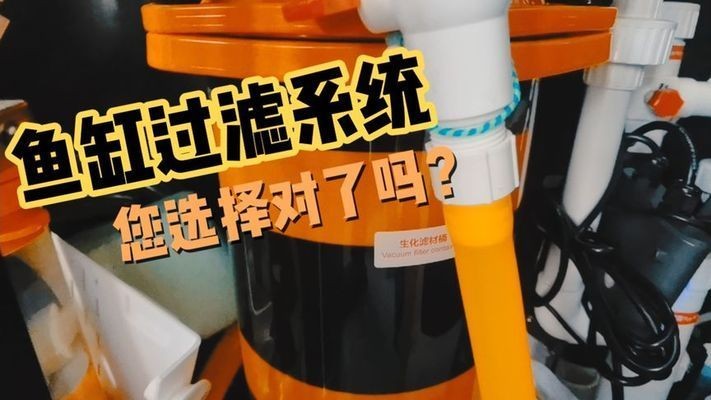 混養魚缸過濾系統選擇:混養魚缸過濾系統的選購 魚缸百科 第1張 混養魚缸過濾系統選擇:混養魚缸過濾系統的選購 混養魚缸過濾系統選擇:混養魚缸過濾系統的選購 魚缸百科 第1張