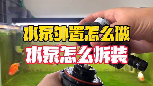 鄒城市北宿鎮魚門望族水族館（鄒城市北宿鎮魚門望族水族館電話）