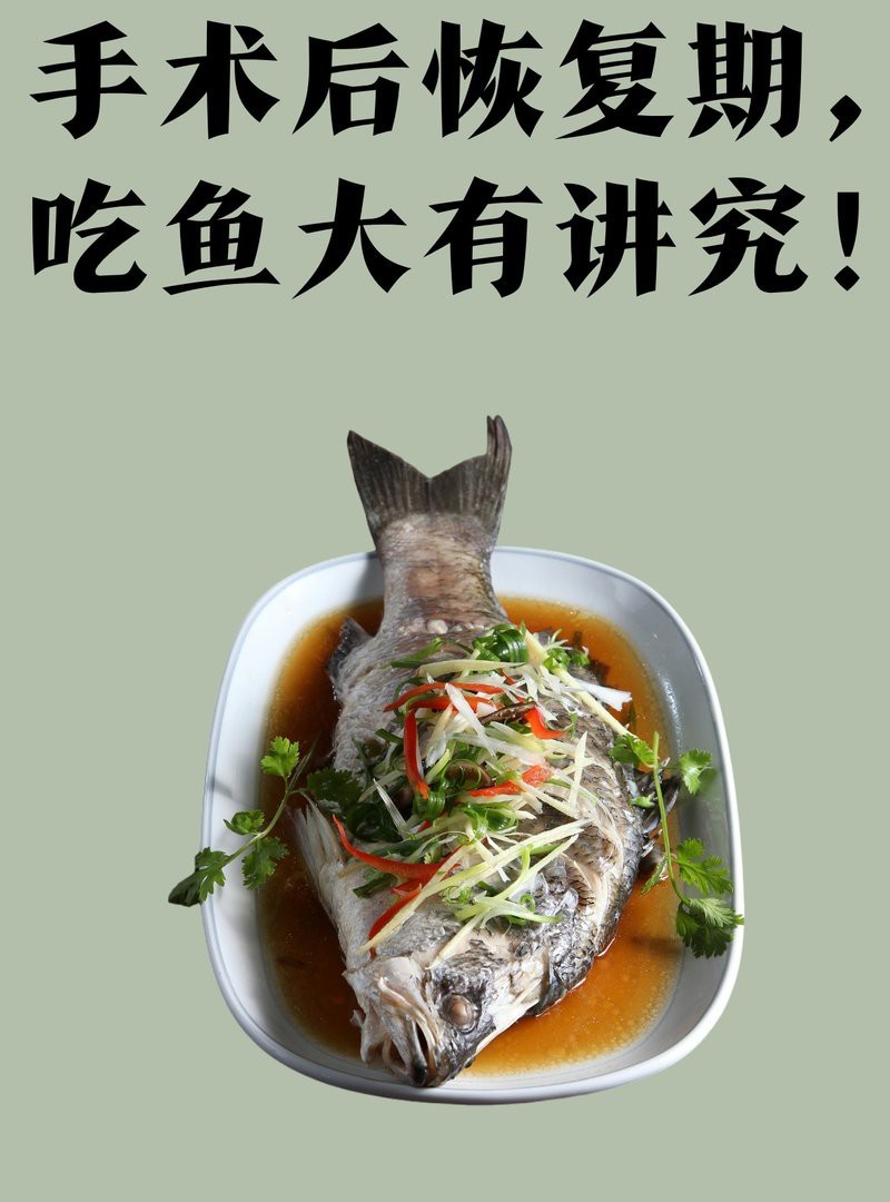 有哪些食物適合龍魚翻鰓手術后恢復？