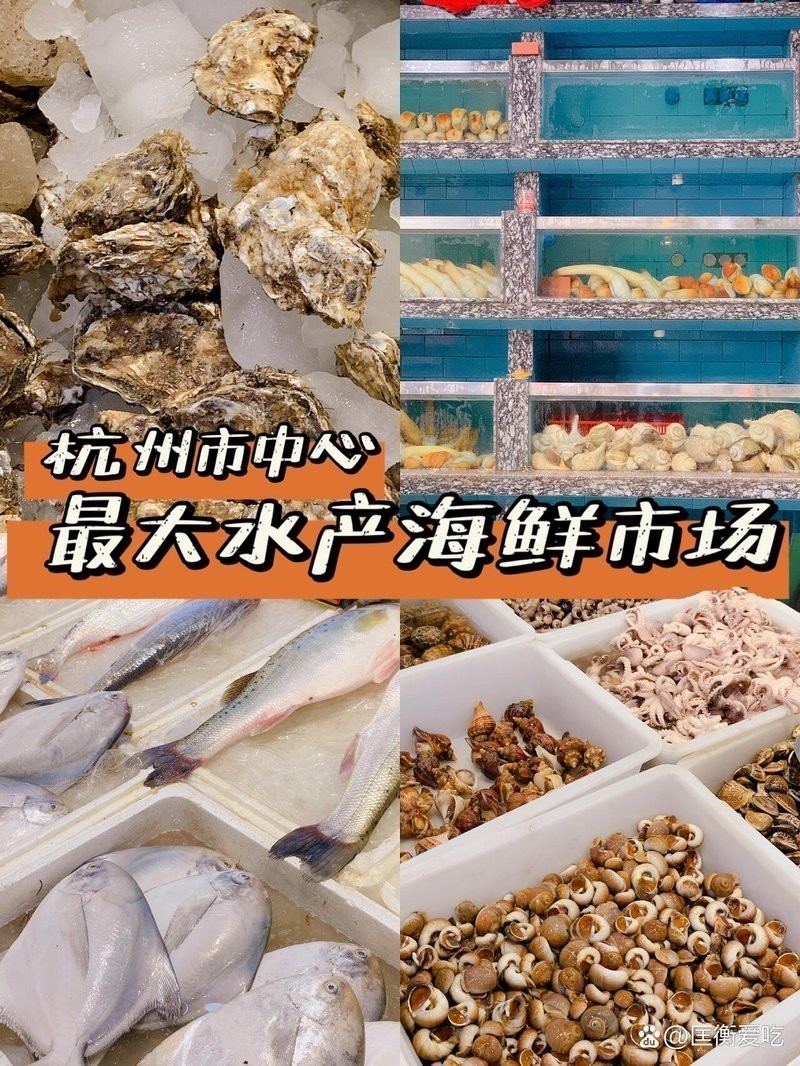 杭州龍魚批發市場在哪個位置啊