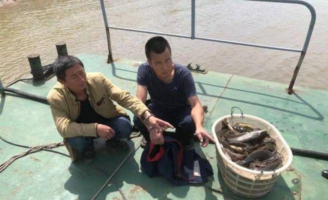 魚缸內養泥鰍的利弊：養泥鰍的利弊