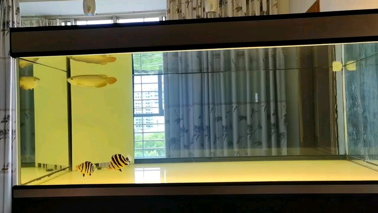 空氣缸原來如此！