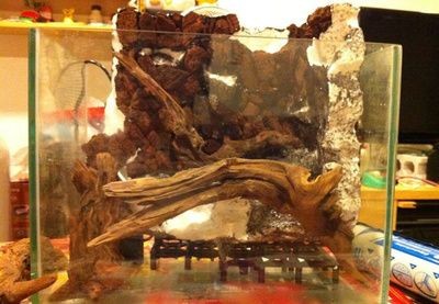 環氧樹脂可以做魚缸嗎（環氧樹脂可以用于制作魚缸但需要注意其可能對魚蝦的影響）