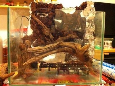 環氧樹脂可以做魚缸嗎（環氧樹脂可以用于制作魚缸但需要注意其可能對魚蝦的影響）