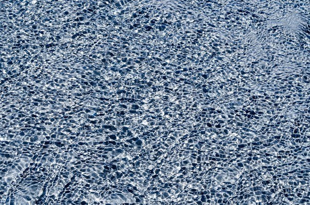 <strong><mark>清河</mark></strong>區金蟾水族館（<strong><mark>清河</mark></strong>區金蟾水族館地址）