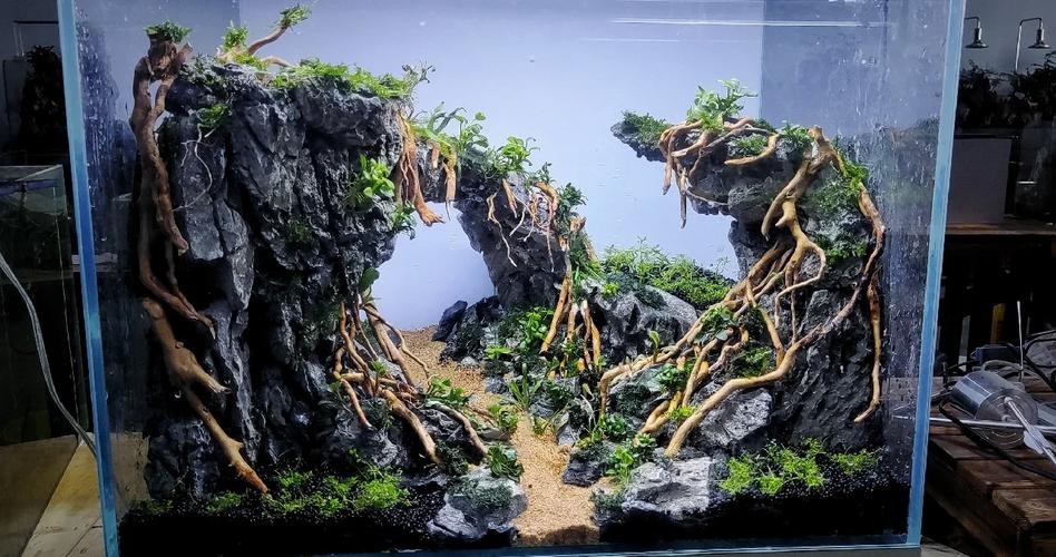 有沒有更多自然風(fēng)格的龍魚缸造景圖？