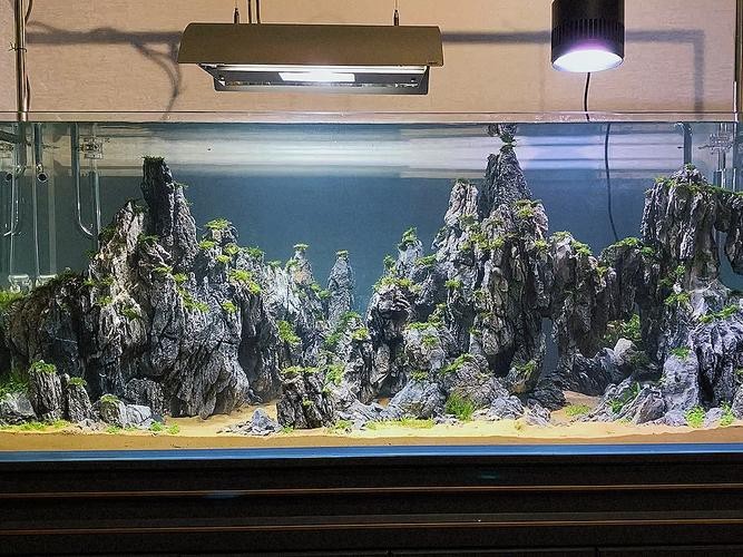 有沒有更多自然風(fēng)格的龍魚缸造景圖？