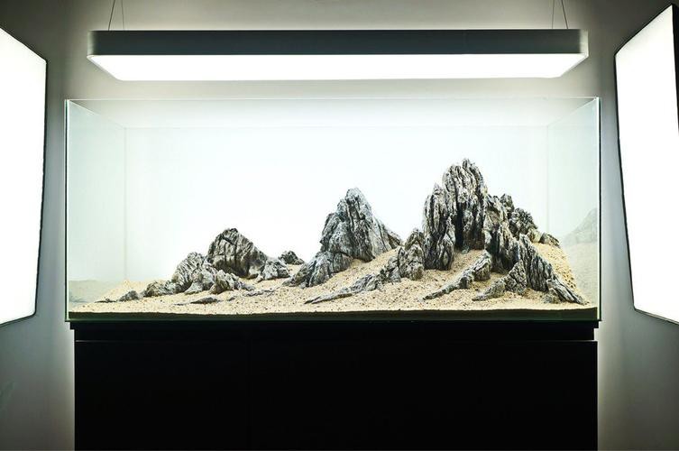 有沒有更多自然風(fēng)格的龍魚缸造景圖？