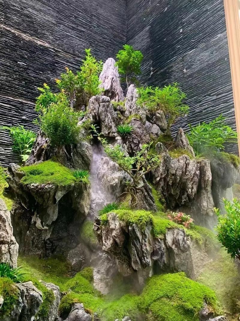 有沒有更多自然風(fēng)格的龍魚缸造景圖？