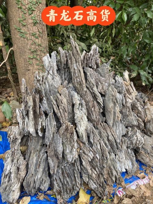 有沒有更多自然風(fēng)格的龍魚缸造景圖？