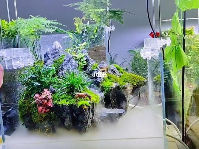 有沒有更多自然風(fēng)格的龍魚缸造景圖？