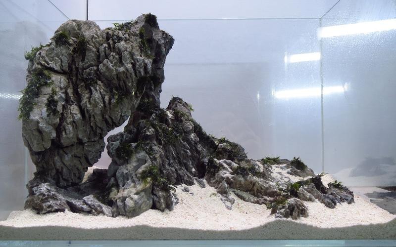 有沒有更多自然風(fēng)格的龍魚缸造景圖？