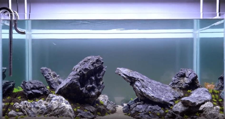 有沒有更多自然風(fēng)格的龍魚缸造景圖？