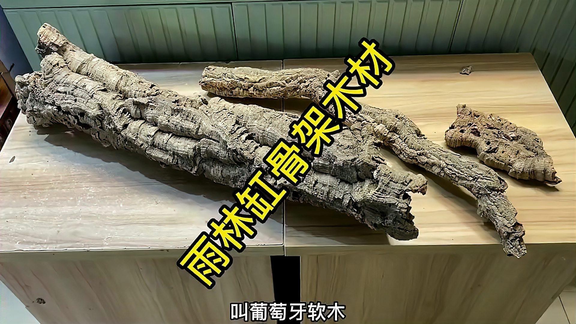 有沒有更多自然風(fēng)格的龍魚缸造景圖？