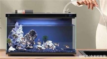 魚缸疾病預防與治療：魚缸中的白色絮狀物可能是由多種原因引起的疾病的威脅