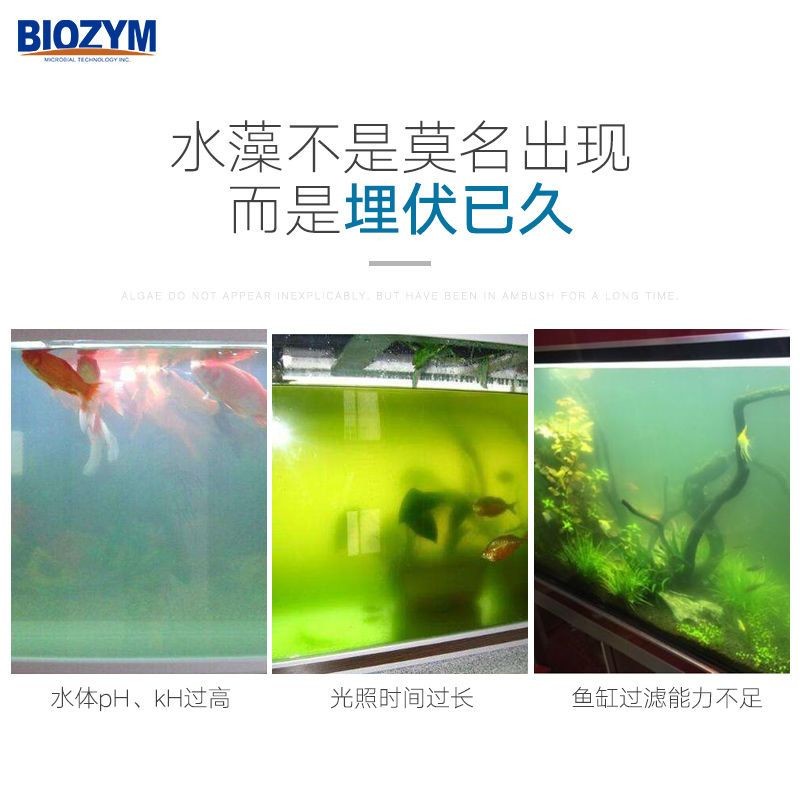 魚缸除藻劑多長時間放一次：魚缸除藻劑使用頻率應(yīng)注意以下幾點(diǎn)魚缸除藻劑的選擇技巧
