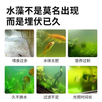 魚缸除藻劑多長時間放一次：魚缸除藻劑使用頻率應(yīng)注意以下幾點(diǎn)魚缸除藻劑的選擇技巧