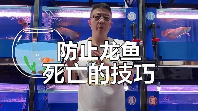 為什么龍魚換水就死了