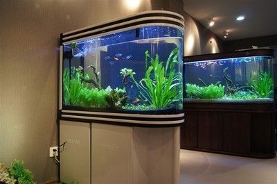 可麗愛魚缸怎么換水的：可麗愛魚缸換水方法