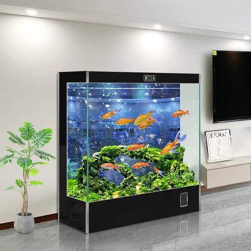金龍魚缸圖片大全