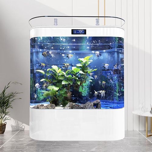 金龍魚缸圖片大全
