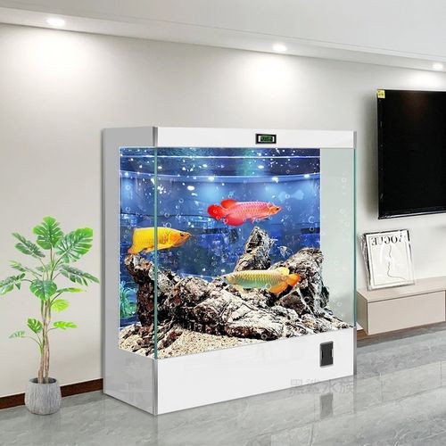 金龍魚缸圖片大全