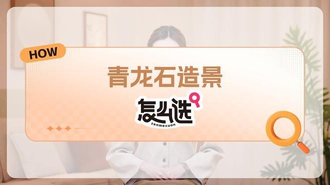 金龍魚缸圖片大全