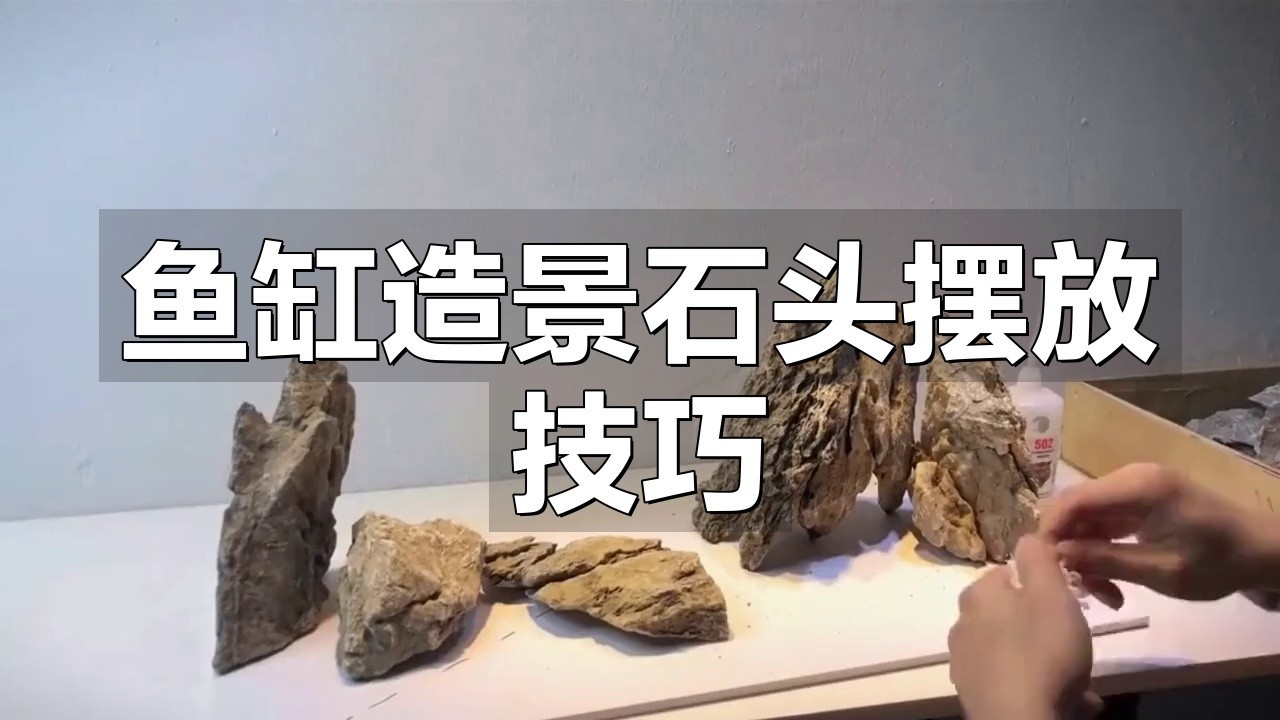 金龍魚缸圖片大全