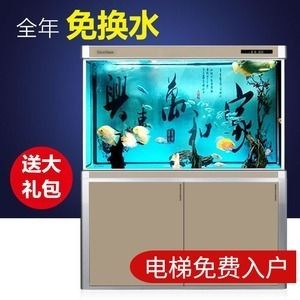 森森魚缸底過濾教程（森森魚缸底過濾安裝和維護教程）