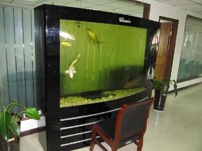 訂做魚缸的價格范圍及注意事項：訂做魚缸價格因素多種因素而異