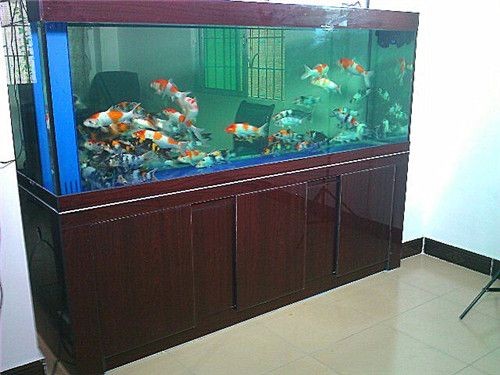 廣州搬魚缸服務公司:廣州搬家公司提供專業的搬魚缸服務