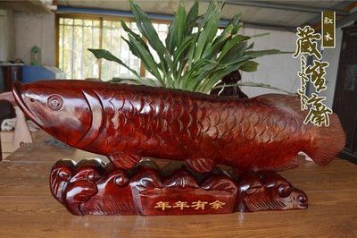 紅龍魚金龍魚怎么分（怎么區分紅龍魚和金龍魚）