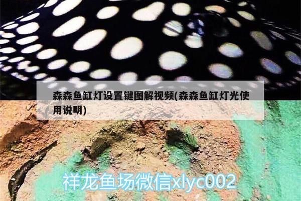 森森魚缸燈設置方法：森森魚缸燈怎么設置